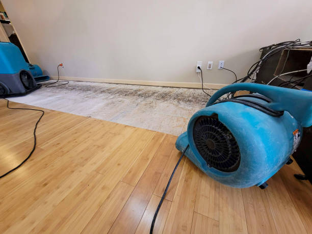 Professional Water Damage Repair technician working in Kingsburg, CA